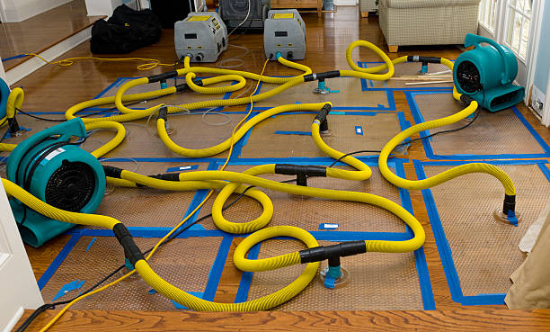 Professional Basement Flood Cleanup technician working in Lohrville, IA